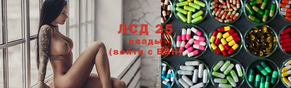 PSILOCYBIN Нязепетровск